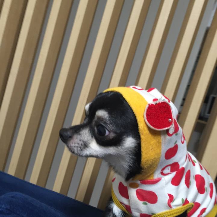 5ced088b ce8b 45c7 ba5f e19c09230ee0