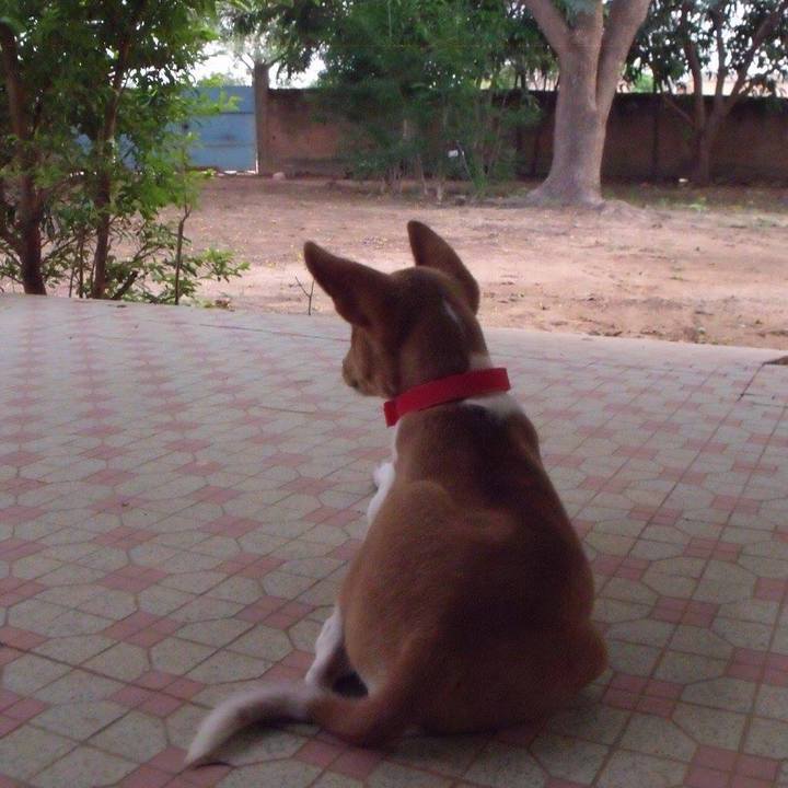 5ced7f17 b71b 44ad 9a8b 41a02ef4691a