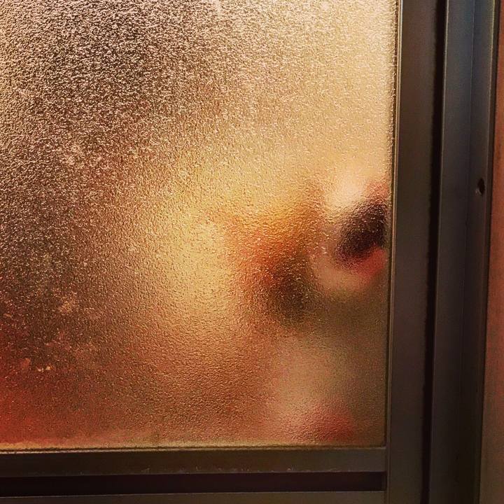 5ced87f2 7831 44a3 8f8a 47de3d396012