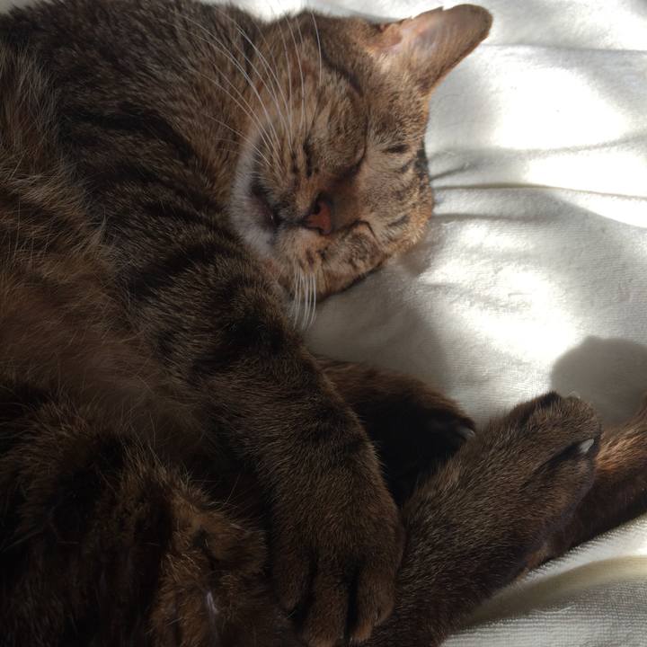 5cedb400 9db5 47da bbd9 1a0847909f5f