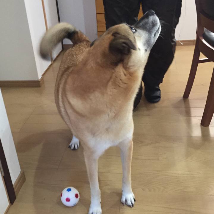 5cee548b b04b 44b5 820f c2fecec792e4