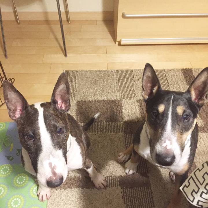 5ceefe58 86d1 4721 98cc d3d1c991c458