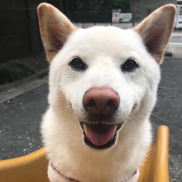 5cef2c5a 84b2 447d be5a cbeee61b2fdd