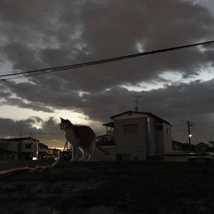 5cefe0b4 bcd6 4fb6 be23 0a1f27d42d72