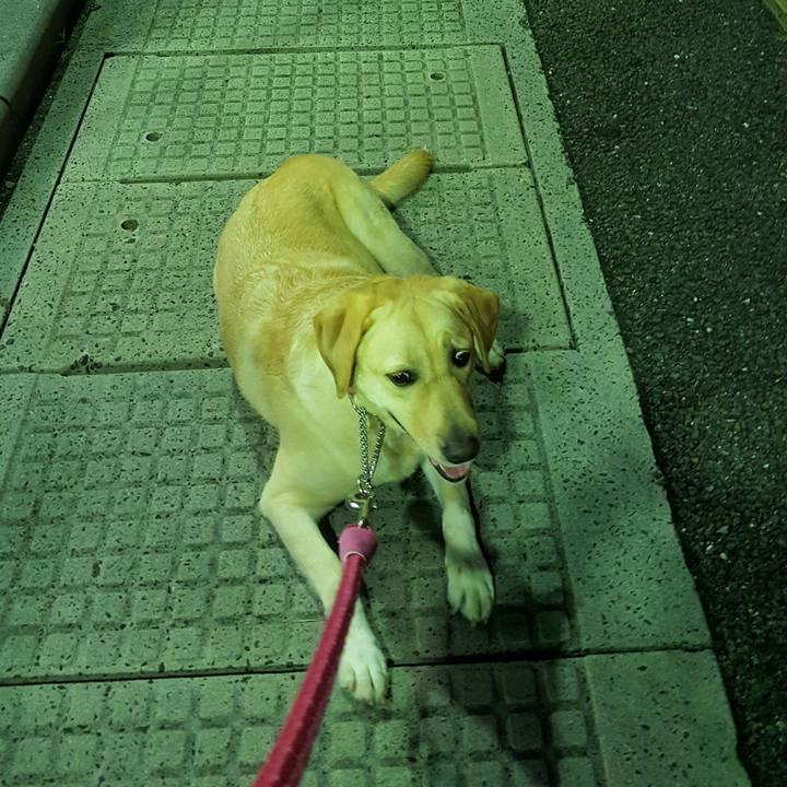 5cf05515 632b 46fa 9bdb 5f5923ee5f76