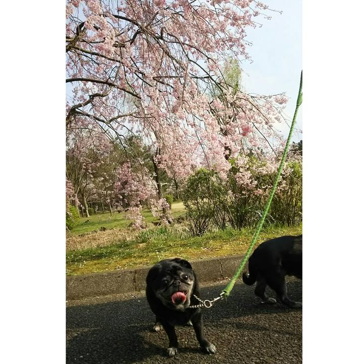 5cf0c57c 5240 48eb 96b8 51c138c053ff