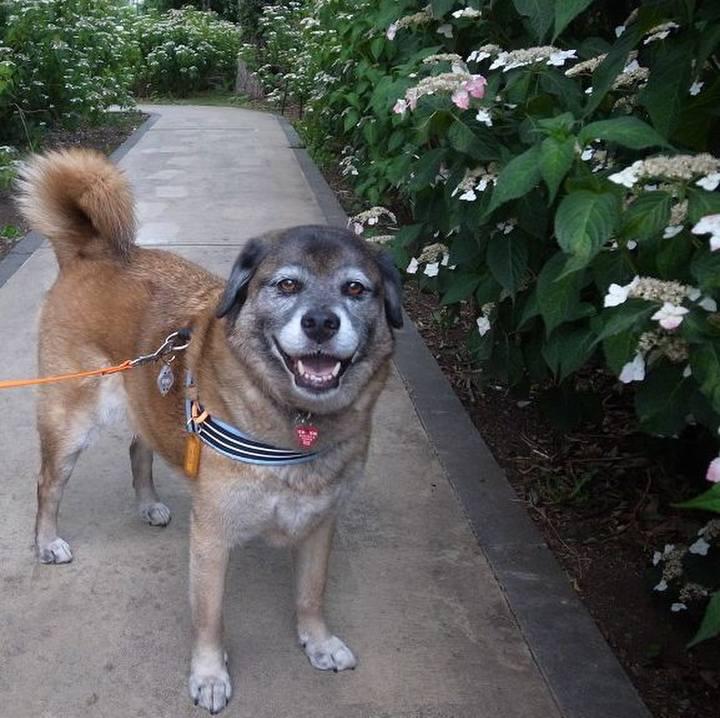 5cf0eeac dc76 4f08 94d8 e1cd8f132c43