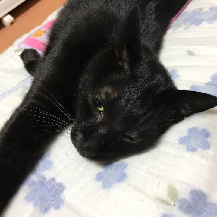 5cf11dfc 2b80 43dd bc67 6de0417bb286