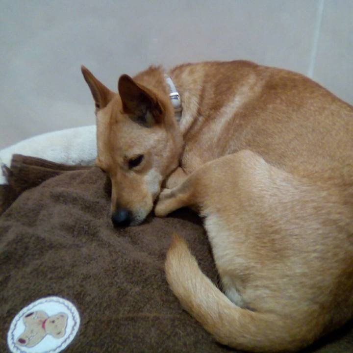 5cf1a2e4 29a9 4077 9995 8db1b30ebff1