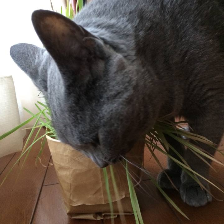 5cf1a2e4 dbaa 4c27 bcaa f5884ba6a8ae