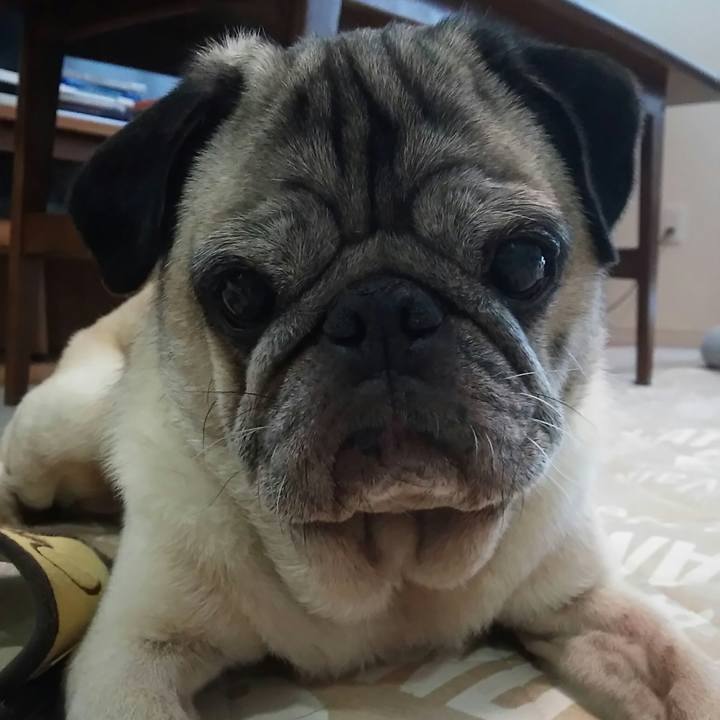 5cf24288 5021 4b5d 9885 a1d0c3a5777b