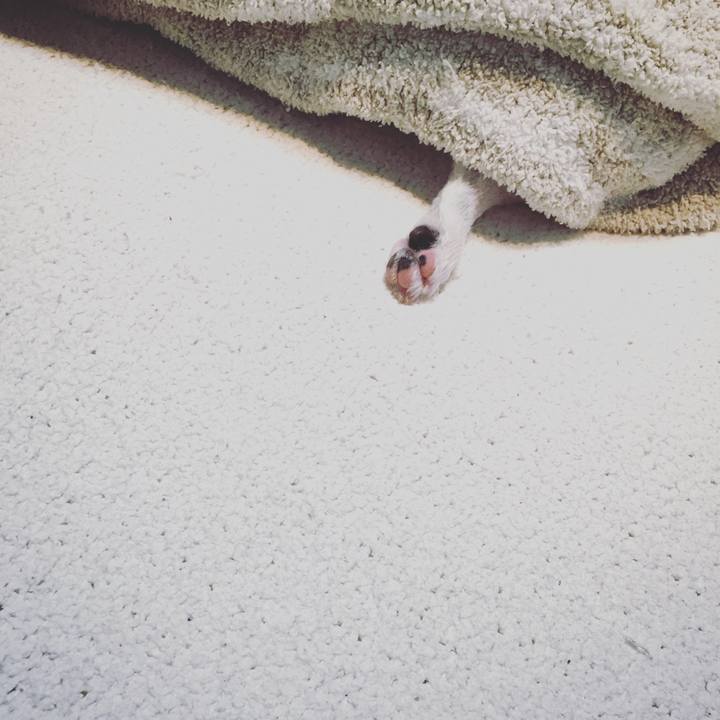 5cf2d069 34fb 46d7 9aa8 c73b27fba6c3