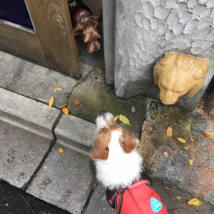 5cf2d5cf 9ff5 410e ac5b 5210ee4a5835