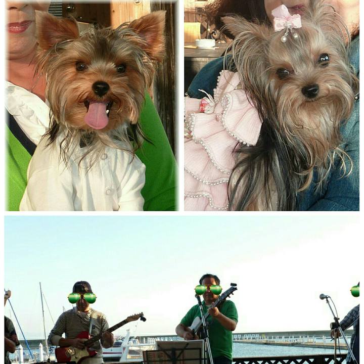 5cf419c5 74c4 4c15 bad5 143a00f37fde