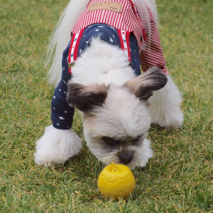 5cf4dc4b aaf8 41d8 8ee1 0f60e87014d2