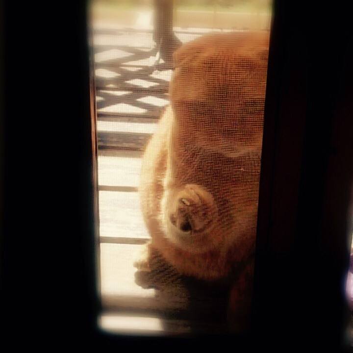 5cf591df fdf6 45c5 8db9 7a62135c68f2