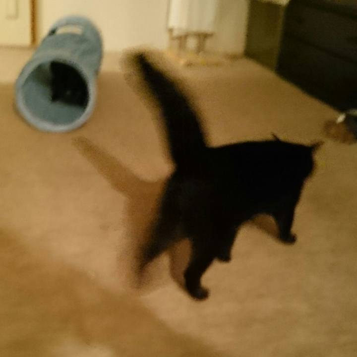 5cf635b8 a5e2 412d bb7b cdf1165bc839