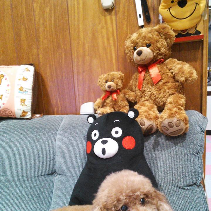 5cf64f0e ccd0 4f04 9dd2 3563364aa3cb