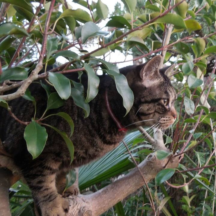 5cf65592 fb91 4aab a5e1 5f1a90116161