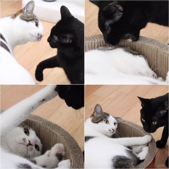 5cf76e71 23af 4448 ba23 37a40c362fff