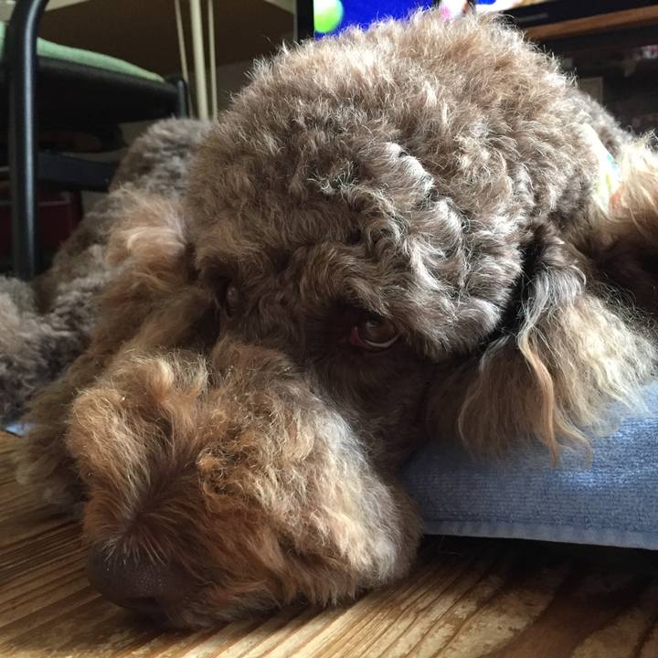 5cf7f10c 7e8b 4241 813b 584a6df7c10e