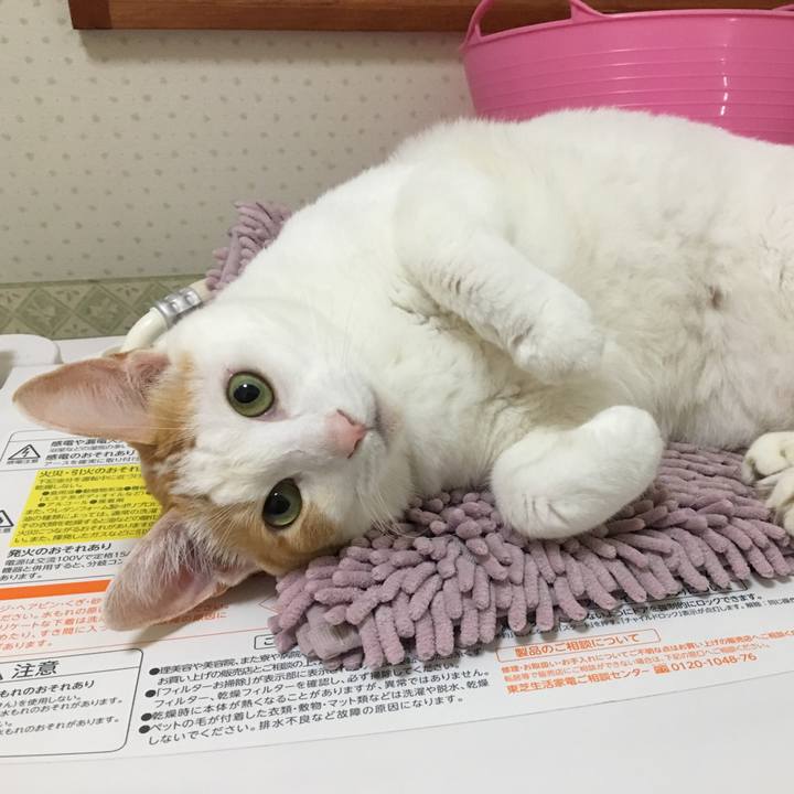 5cf807d0 f0a0 4bfa a435 5072b915f8a2