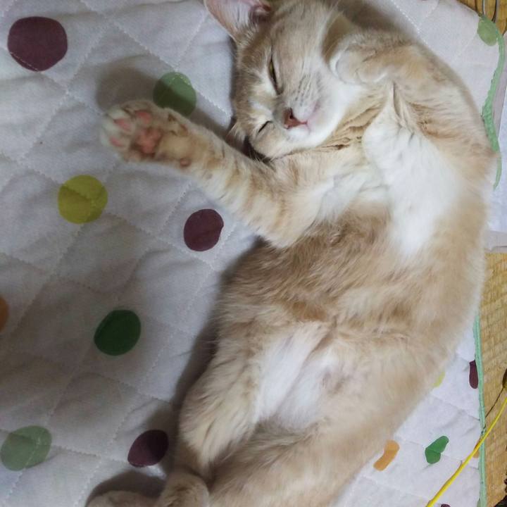 5cf87cb3 b731 4f1d acc4 a0b12346d817