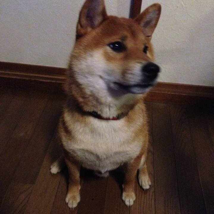 5cf89e3f 5863 4d21 a432 6fc192203ea5