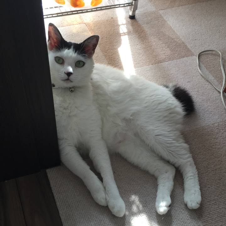 5cf8e80b ce8f 43fd ad4e d9ad217e7fdc