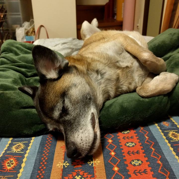 5cf8ec80 557f 4d80 9518 b79e8fb82969