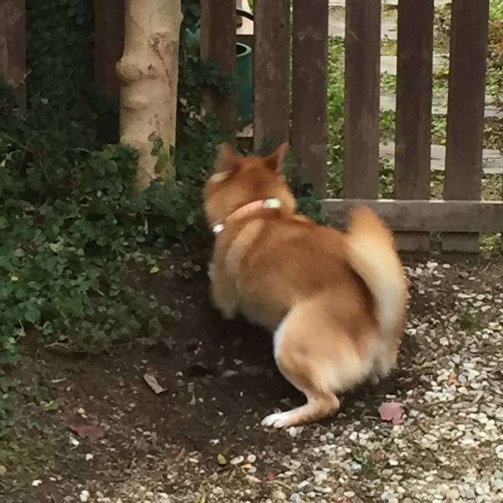 5cf96241 090a 40ec 9517 5a141f9b81ac