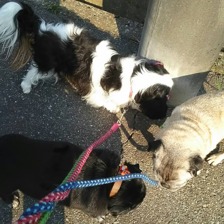 5cf9d5bc ae4e 48b7 bd82 53c3760261ef