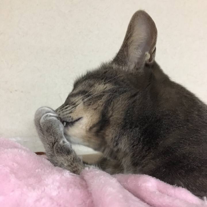 5cfc4b16 86b9 441b af5f 28229b5e278a