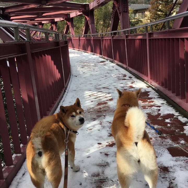 5cfc4d8d 84c0 42a0 adb6 eb8b0b4eb7c4