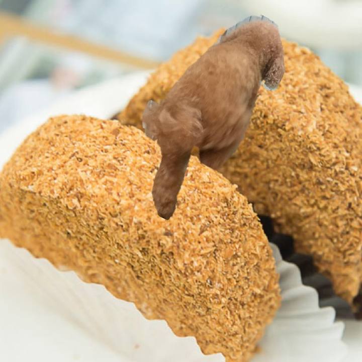 5cfcdd28 fc1c 4a01 a464 5dd6efc7db7d