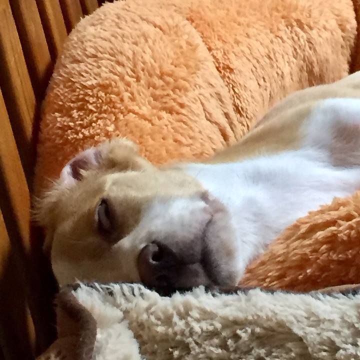 5cfcfb12 1292 4bf8 a8df 175bfd551c56