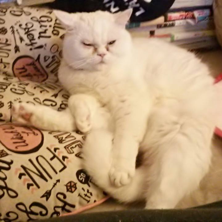 5cfdfb28 284f 4e97 a3c8 09b68d48d94a