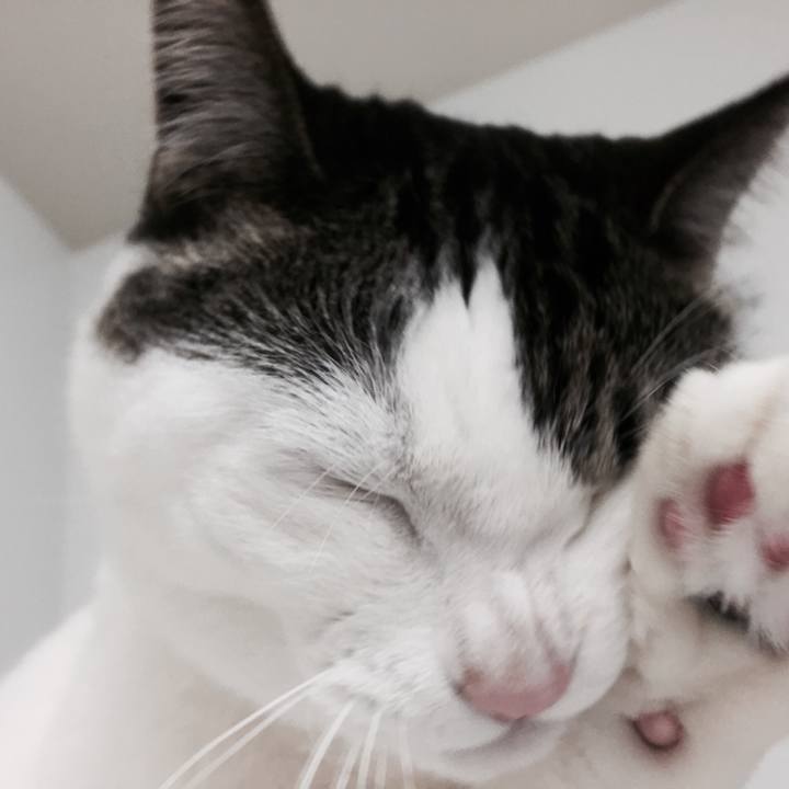 5cfe712d d7fc 40a2 9417 bbbd1c5be3f3