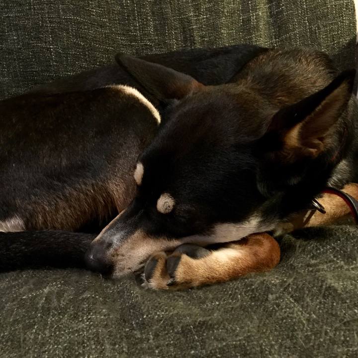 5cfec582 e94e 46d4 ae09 43accbc60bbc