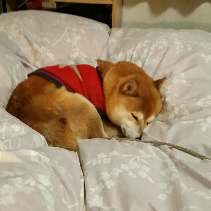 5cfee9a1 4132 4088 97b7 96be249b6cb2