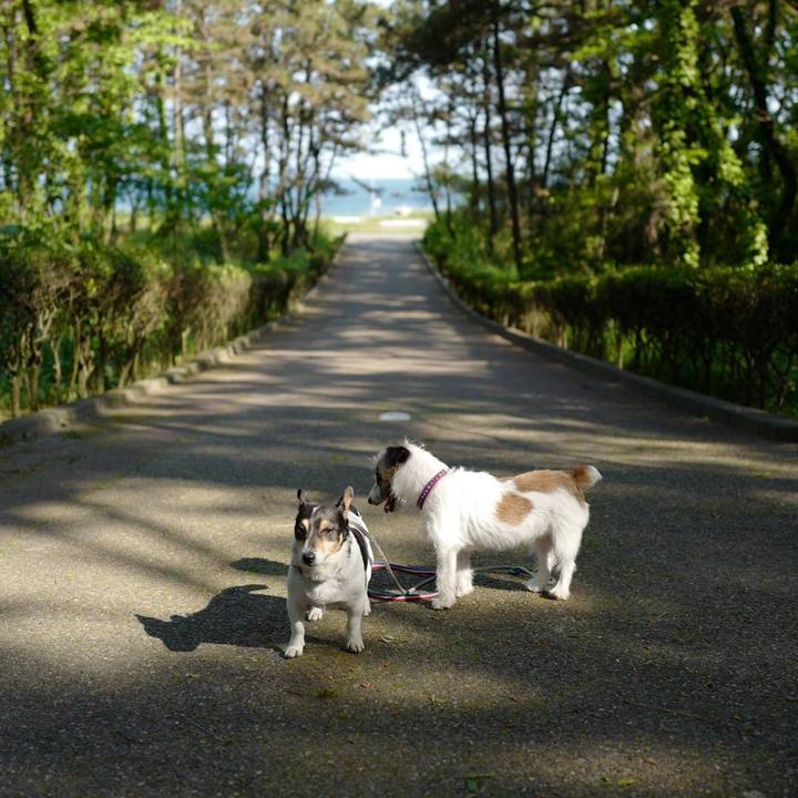 5cff8b5c 0d07 42cb 82ea ec3f1bb26c54