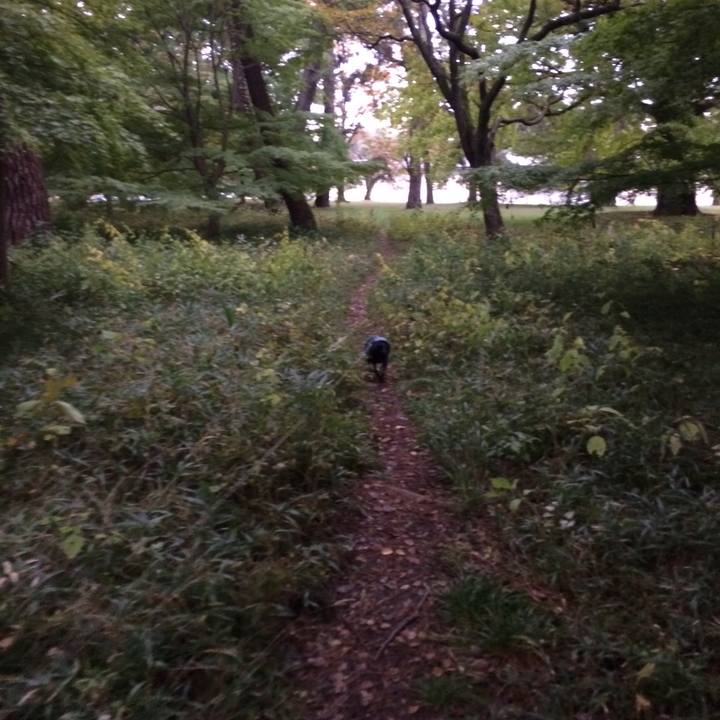 5d005cc6 30eb 4945 bce0 2b144a431a5a