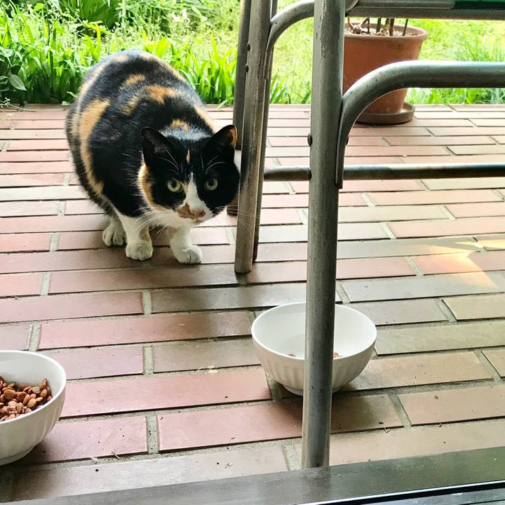 5d014bfb 3450 4ae9 8400 e84ccf7a48d5