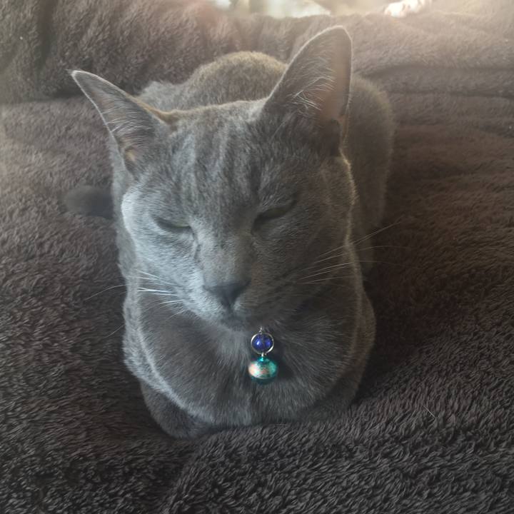 5d01a0f3 c51f 4c59 ac9e ff5f2b75e17a