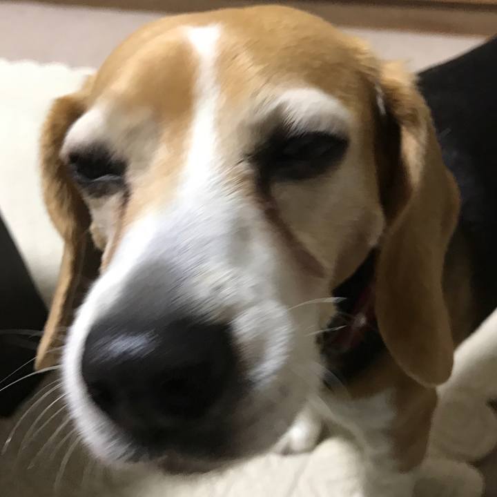 5d020a41 e3fc 403a 8896 64d0306cc1aa