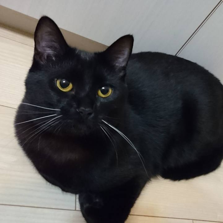 5d0280e6 47b4 4896 bd0b 1dbc139c656e