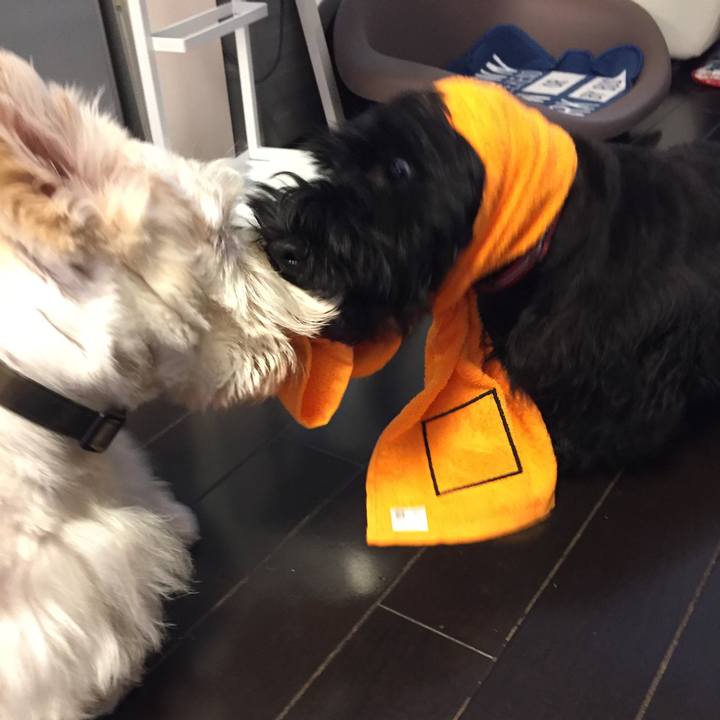 5d0299cb 4a04 42f2 a150 59152043ecd6