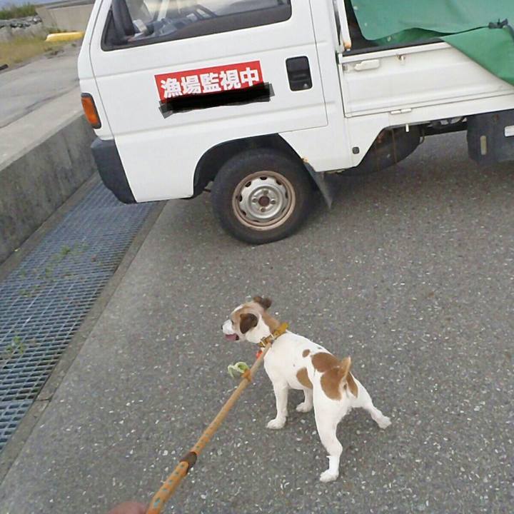 5d02a3cf 8279 4826 a5e8 c758fd1569dd