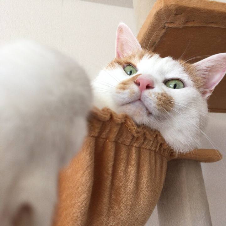 5d02ef08 9fe3 4049 89e1 1e6853a02573