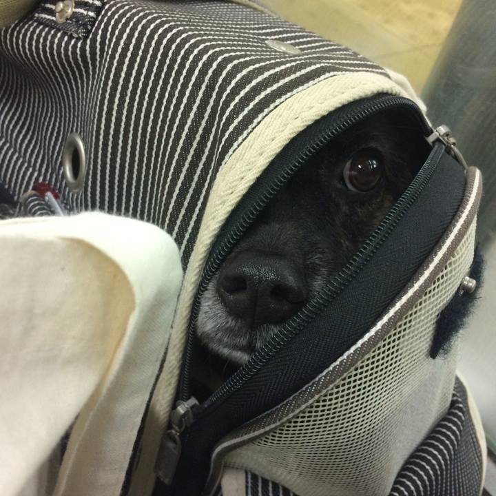 5d030aca a718 4b59 af75 75b525d37ddd